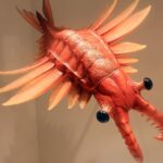 Animales marinos prehistóricos, una fascinante mirada al pasado